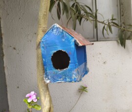 filter: 0; fileterIntensity: 0.000000; filterMask: 0; captureOrientation: 0;
hdrForward: 6; shaking: 0.034823; highlight: 0; algolist: 0;
multi-frame: 1;
brp_mask: 8;
brp_del_th: 0.0000,0.0000;
brp_del_sen: 0.0000,0.0000;
delta:null;
module: photo;hw-remosaic: false;touch: (-1.0, -1.0);sceneMode: 7864320;cct_value: 0;AI_Scene: (-1, -1);aec_lux: 0.0;aec_lux_index: 0;HdrStatus: auto;albedo: ;confidence: ;motionLevel: 0;weatherinfo: null;temperature: 46;